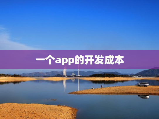 一个app的开发成本