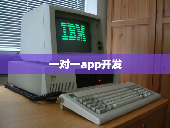 一对一app开发