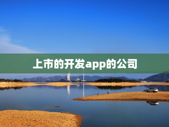 上市的开发app的公司