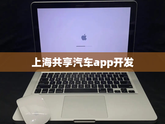上海共享汽车app开发