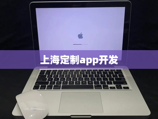 上海定制app开发