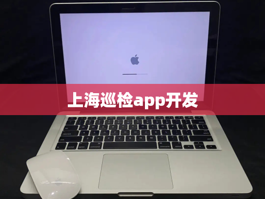 上海巡检app开发