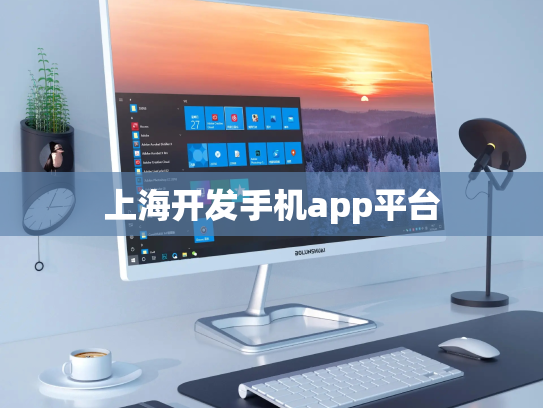 上海开发手机app平台