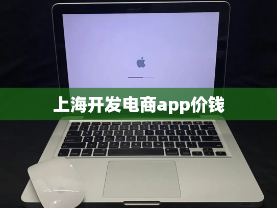 上海开发电商app价钱
