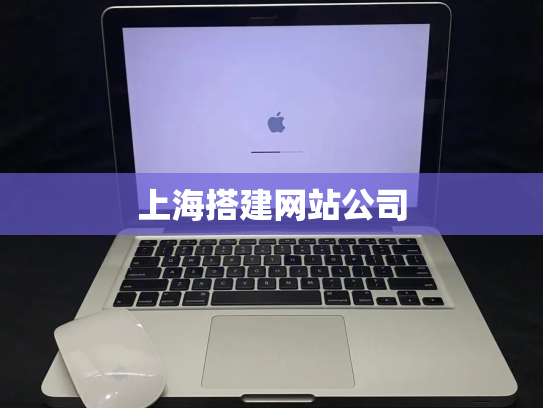 上海搭建网站公司