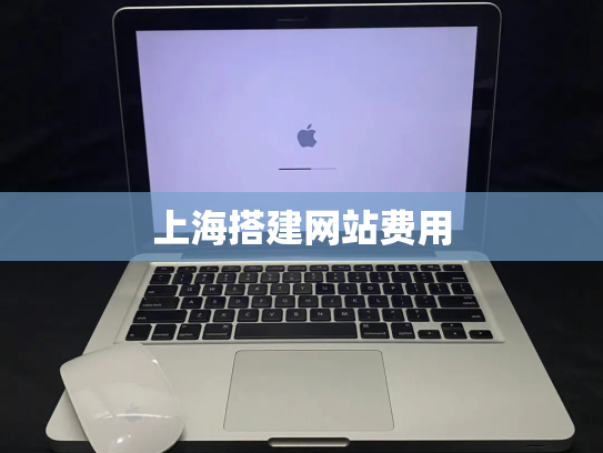 上海搭建网站费用