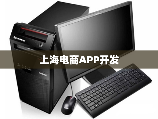 上海电商APP开发