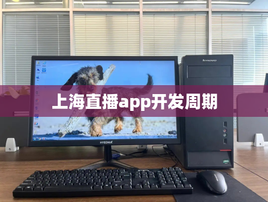 上海直播app开发周期