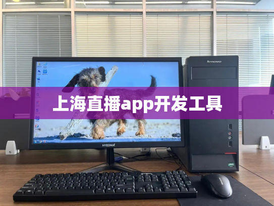 上海直播app开发工具