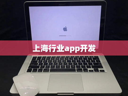 上海行业app开发