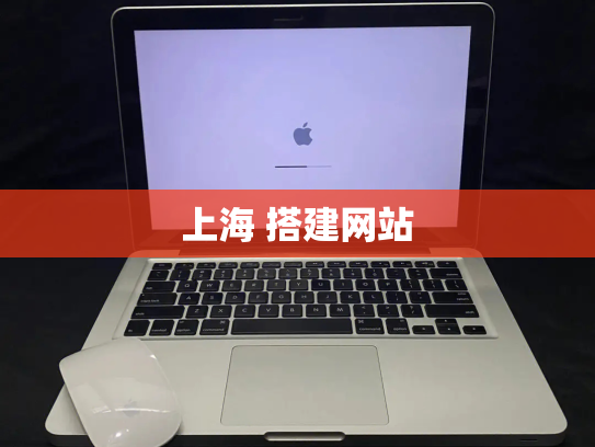 上海 搭建网站