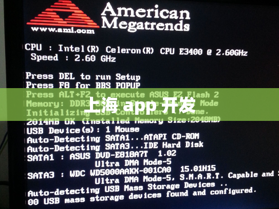 上海 app 开发