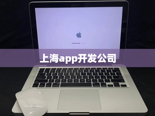 上海app开发公司