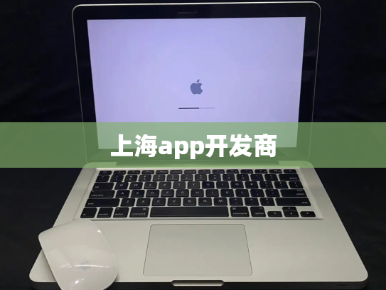 上海app开发商