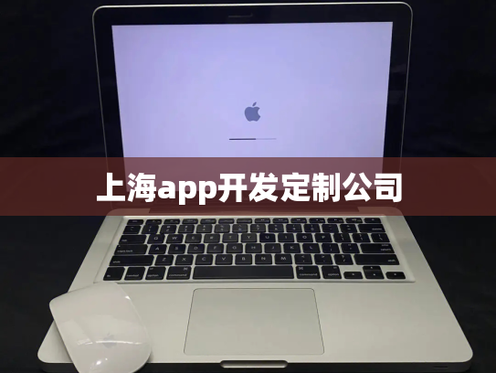 上海app开发定制公司