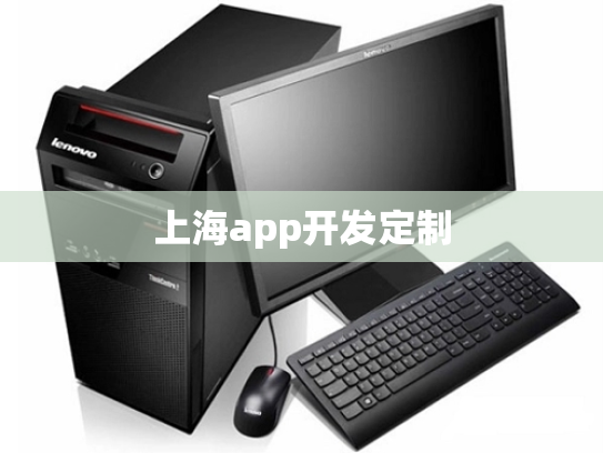 上海app开发定制