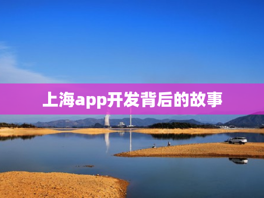 上海app开发背后的故事
