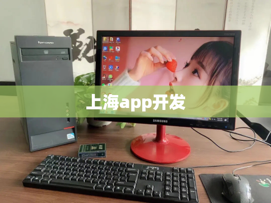 上海app开发