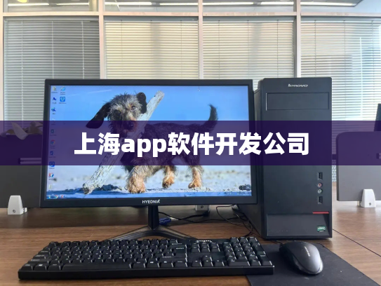 上海app软件开发公司