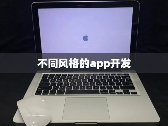 不同风格的app开发