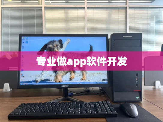 专业做app软件开发