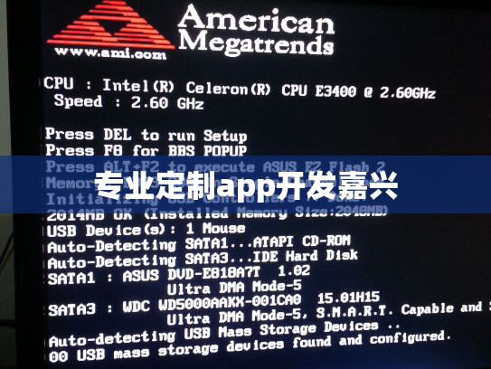 专业定制app开发嘉兴
