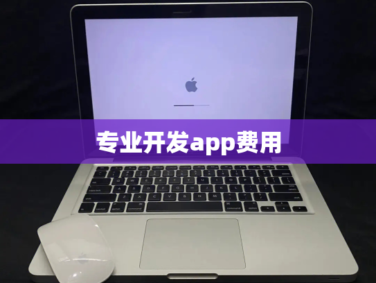 专业开发app费用