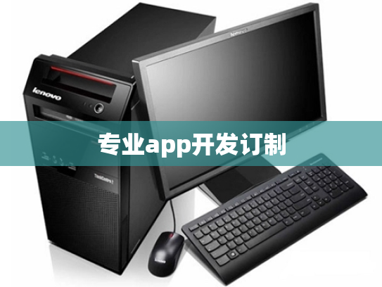 专业app开发订制