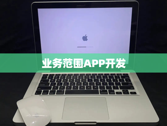 业务范围APP开发