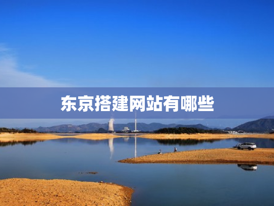 东京搭建网站有哪些