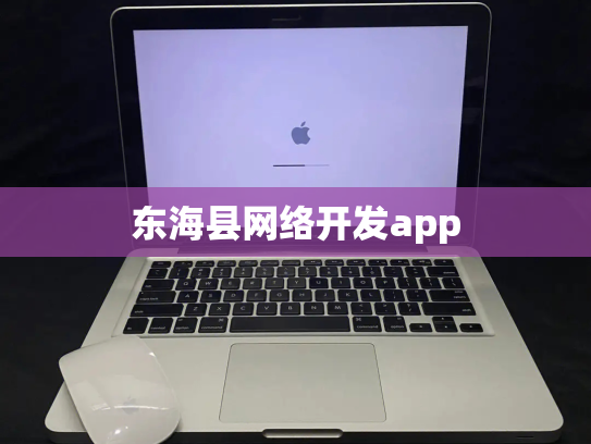东海县网络开发app