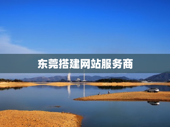 东莞搭建网站服务商