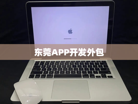 东莞APP开发外包