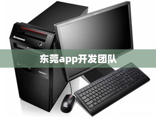 东莞app开发团队