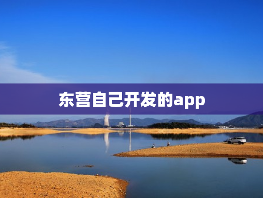 东营自己开发的app