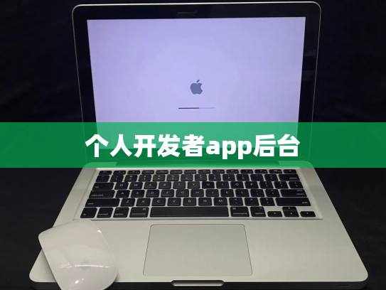 个人开发者app后台