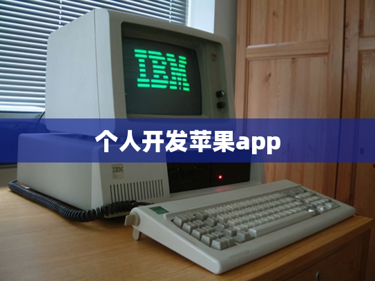 个人开发苹果app