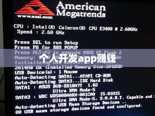个人开发app赚钱
