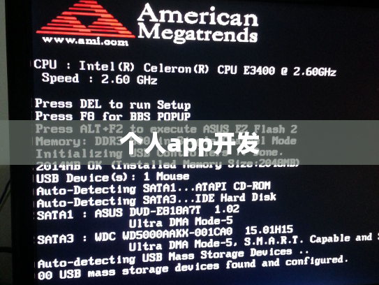 个人app开发