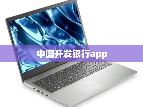 中国开发银行app
