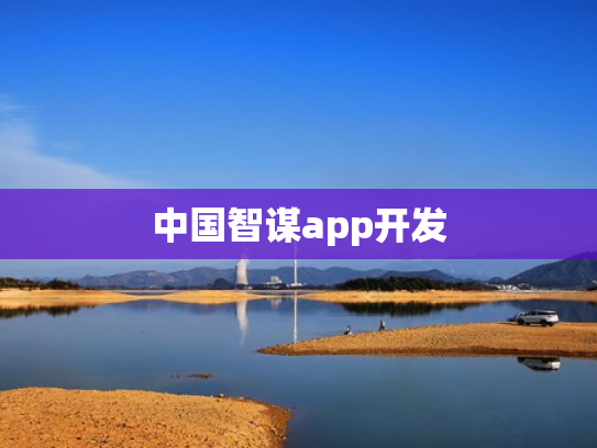 中国智谋app开发