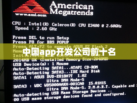 中国app开发公司前十名