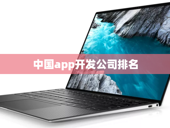 中国app开发公司排名