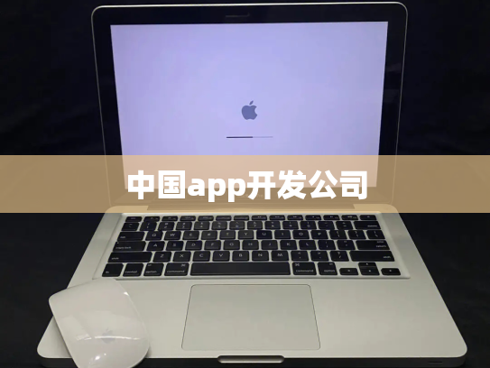 中国app开发公司