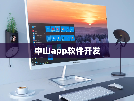 中山app软件开发