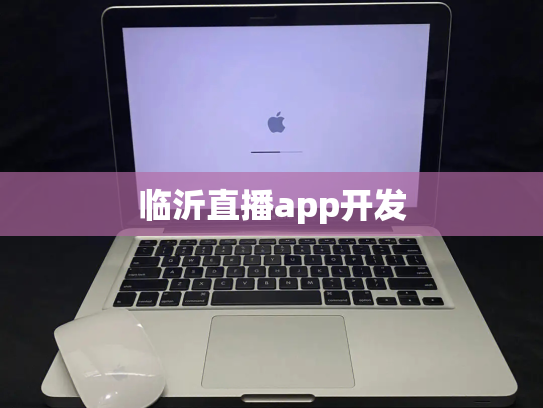 临沂直播app开发