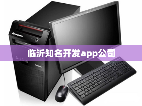 临沂知名开发app公司