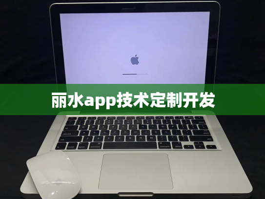 丽水app技术定制开发