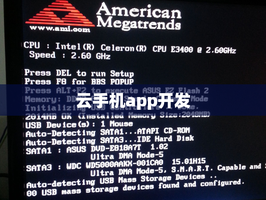 云手机app开发