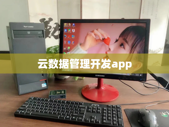 云数据管理开发app